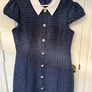 Lively Navy Textured Dress with White Collar